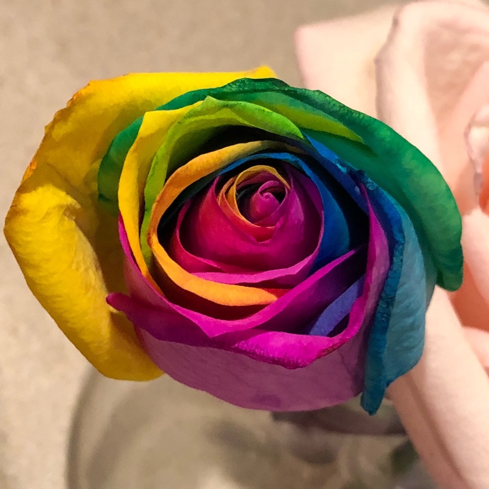 Meet your Posher, Joanne